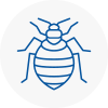 Bed Bug Extermination In Bonnyrigg