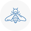 Bee Nest Removal Bonnyrigg