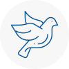 Bird Prevention Bonnyrigg