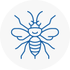 Bonnyrigg Hornet Nest Removals