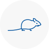 Mice Exterminators In Bonnyrigg