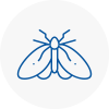 Moth Control Specialists In Bonnyrigg