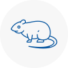 Rat Control Bonnyrigg