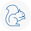 Bonnyrigg Rodent Removals
